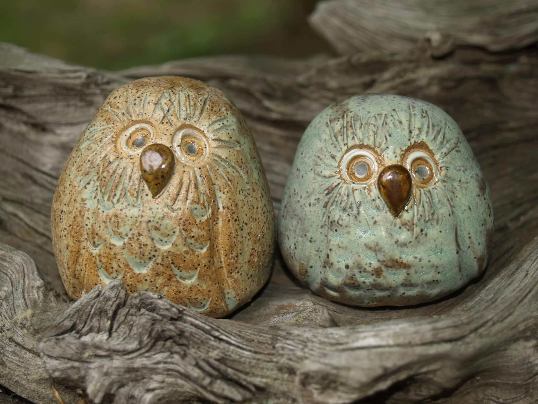 a snail sitting on the ground