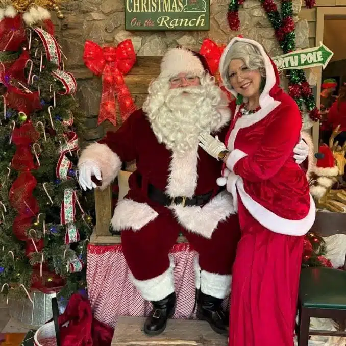 a group of stuffed animals